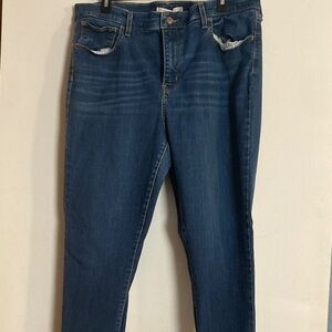 Classic Blue Women's Skinny Jeans